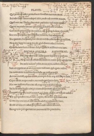 Bromia Ancilla. Amphitryo.
