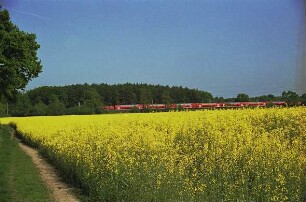 Bargteheide Richtung Tremsbüttel: Rapsfeld mit Zug dahinter (Regionalexpress)