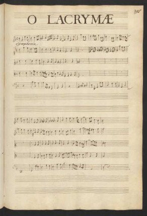 O lacrimae fideles; V (4), i (4), bc; d-Moll; LWV 26
