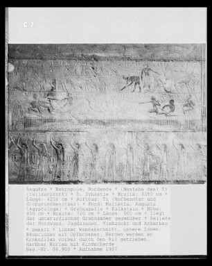 Mastaba des Ti — Relief