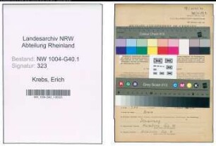 Entnazifizierung Erich Krebs , geb. 08.08.1892 (Hilfspolizeibeamter)
