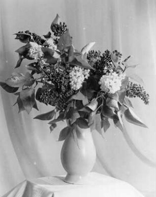 Diverse Blumen und Blüten. Fliederstrauß in einer Vase