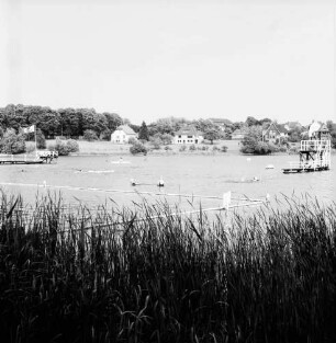 Badeanstalt: am Herrenteich: schwimmende Begrenzungskette, Schild: Badegäste: hinten links Badesteg mit Fahnenmast, rechts Sprungturm: im Vordergrund Schilf: im Hintergrund Ostufer