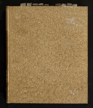 Dissertationvm Philologicarvm, De Natvra Lingvae Hebraicae : Secvnda