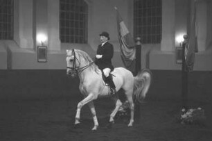 Festabend klassischer Reitkunst beim Reitinstitut Egon von Neindorff