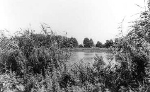 Malschwitz. Blick zur Niedermühle