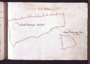Reichenberger Hut: Stadt Backnanger Greisach und Bodenhau