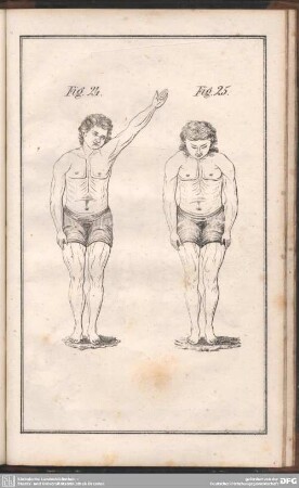 Fig. 24. Fig. 25