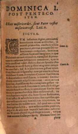 Conciones Sive Conceptus Theologici. In Omnes Totius Anni Dominicas, 2. A Festo Pentecostes usque ad Adventum Domini