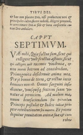Caput Septimum.