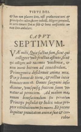Caput Septimum.