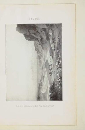 2. Die Wüste