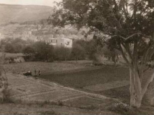 Palästinensische Autonomiegebiete. Nablus. Blick auf die Stadt