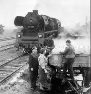 Eisenbahner dämpfen mit ihrer Lokomotive zum Einsilieren bestimmte Kartoffeln der LPG Altlüdersdorf (Kr. Gransee)
