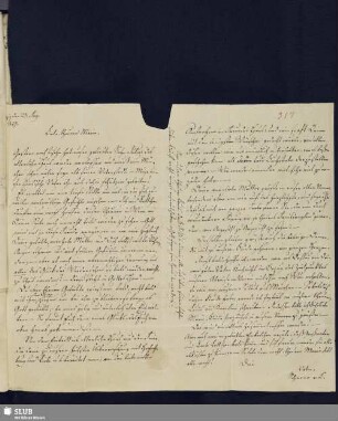 Bl. 317. SvC, Veit Hans an SvC, Marie