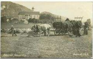 Beuroner Mönche bei der Heuernte