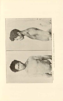 Plate XVI. Negrito man of Zambales, showing hair on the face