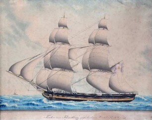 Brigg TRITON