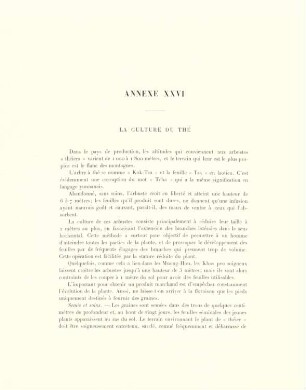 Annexe XXVI. La culture du thé