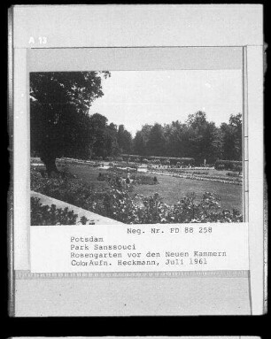 Rosengarten vor den Neuen Kammern