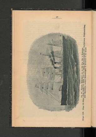 Fig. 28. Dampfer Westernland von der Red Star Line in Antwerpen.