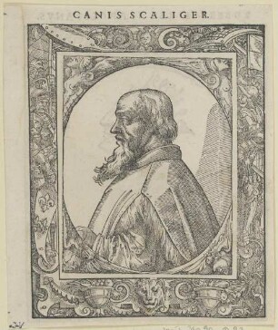 Bildnis des Canis Scaliger