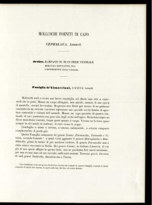 MOLLUSCHI FORNITI DI GAPO