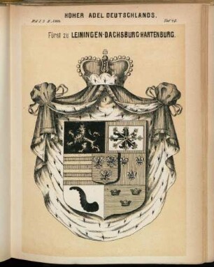 Taf. 47. Fürst zu Leiningen-Dachsburg-Hartenburg.