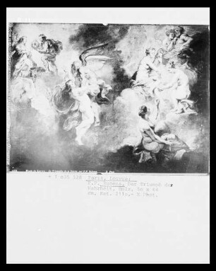 Der Medici-Zyklus — Der Triumph der Wahrheit