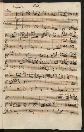 Trios; vla, cemb; B-Dur; GraunWV Cv:XV:132; WenG 123