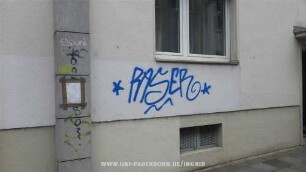 *RASER*