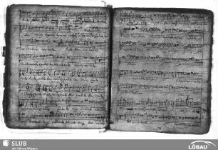 Bütner, Crato: Siehe es hat überwunden der Löwe