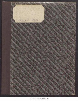 Dissertatio Historica Posterior, Peri Tēs Diataxeōs, Sive De Constitutionibus Apostolicis