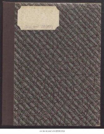 Dissertatio Historica Posterior, Peri Tēs Diataxeōs, Sive De Constitutionibus Apostolicis