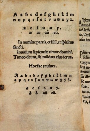 Pro Latinae linguae tyronibus
