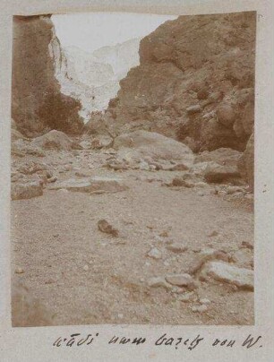 wadi umm barek von W.
