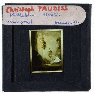 Paudiss, Stillleben