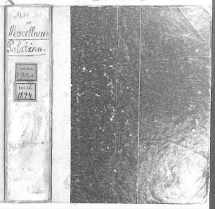 Miscellanea ad historiam Palatinam pertinentia, orationes, carmina, chronica etc. - BSB Clm 1824