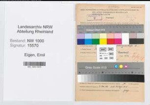 Entnazifizierung Emil Eigen, geb. 13.02.1892 (Kaufmann)