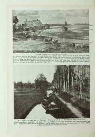 Aus dem Teufelsmoor bei Bremen. Kultiviertes Moor mit Wiese, Wald und Feld