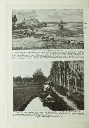 Aus dem Teufelsmoor bei Bremen. Kultiviertes Moor mit Wiese, Wald und Feld