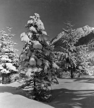 Allgäuer Alpen, Rubihorn bei Oberstdorf