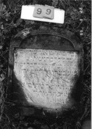 Grabstein 99 (Index: 99792178) Material: Sandstein Zustand: verwittert mit Textverlust, Stele liegend Maße HxBxT: 69x56x10 cm Beschreibung: Stele, Segmentbogenabschluß, rechteckiges Schriftfeld eingetieft: Grabstein 99