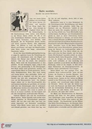 Salto mortale, [1]