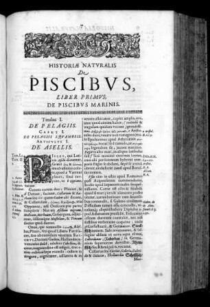 Historiae Naturalis de Piscibus, Liber Primus, De Piscibus Marinis