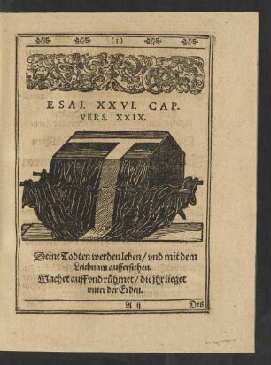 Esai. XXVI. Cap. Vers. XXIX.
