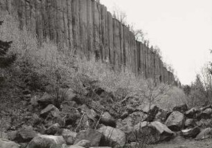 Scheibenberg (807 m). Basaltbruch an der Westseite. Blockhalde gegen "Orgelpfeifen"
