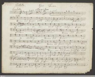 Tenor (5 Stimmen)