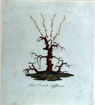 Napoleon-Karikatur: "Der Corsische Gifftbaum."