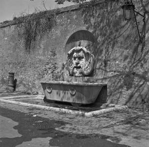 Brunnen mit Mascherone